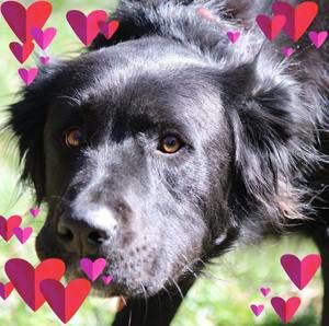 Meet your Posher, Liz